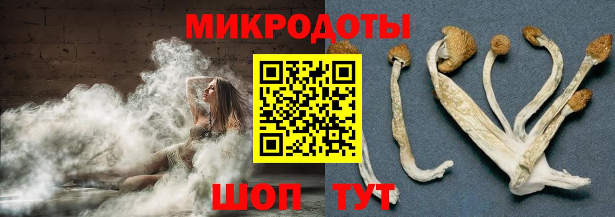 Галлюциногенные грибы мухоморы Узловая